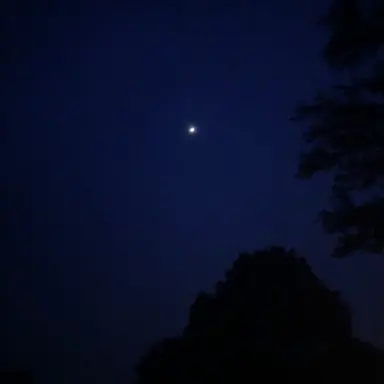 Profile image of ジョナサン