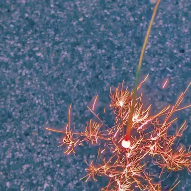 Profile image of 烏旅人