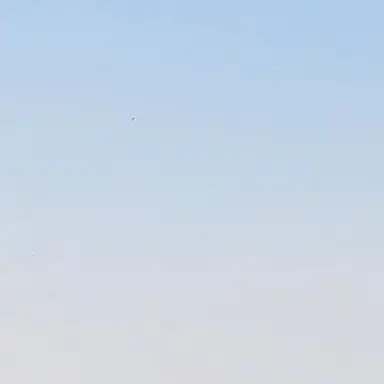 Profile image of 피치파이
