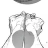 Profile image of ハイキュー
