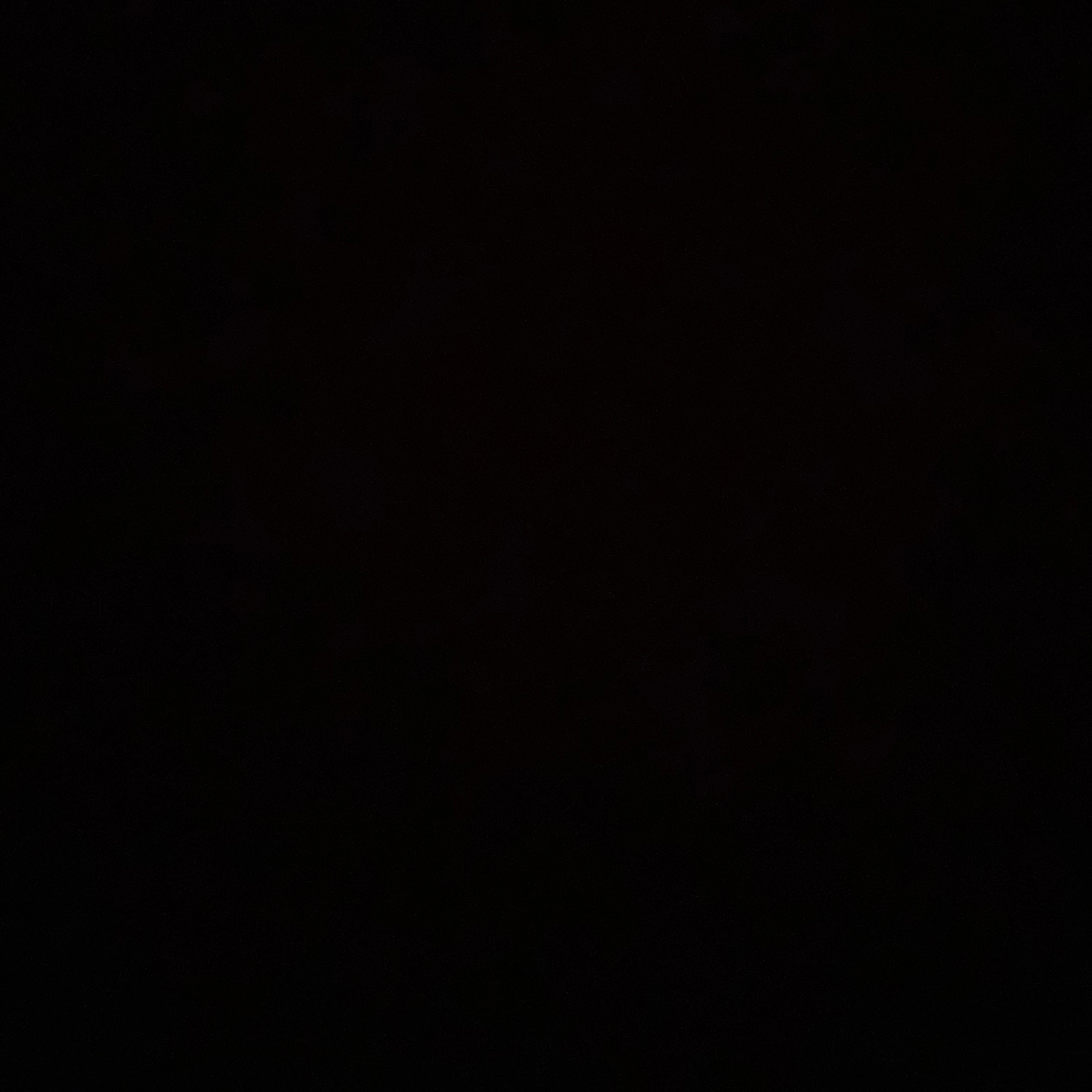 양진모