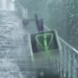 Profile image of 비