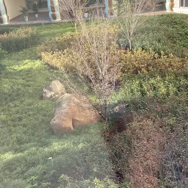 Profile image of イタ王