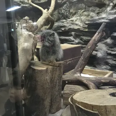 Profile image of イギリス