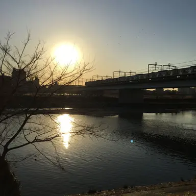 Profile image of ナチス