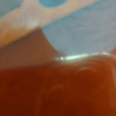 Profile image of 배우분들