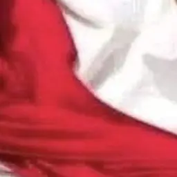 Profile image of チェ・ヒイン