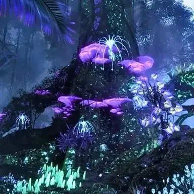 Profile image of Avatar Pandora RP