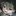 ゆめた