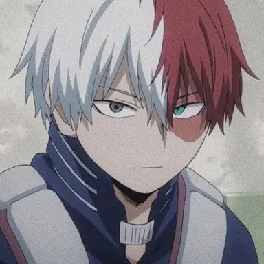 Profile image of Todoroki