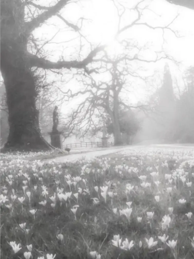 zol3reep의 あれれ？