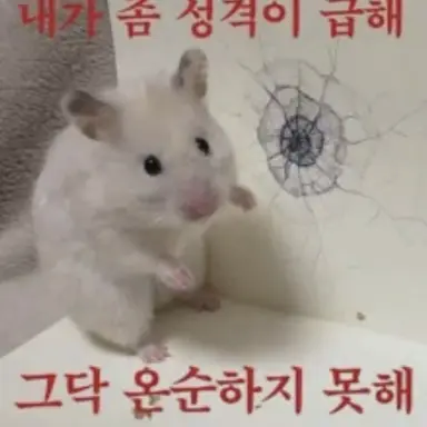 Profile image of 선생님