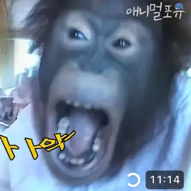 Profile image of 여우