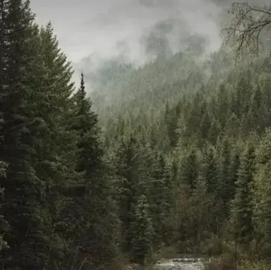 Profile image of The Hunger Games