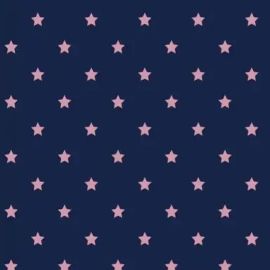 Profile image of STPR