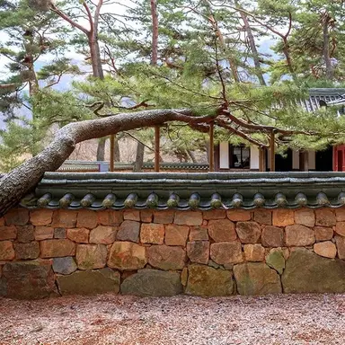 Profile image of 엄흥도