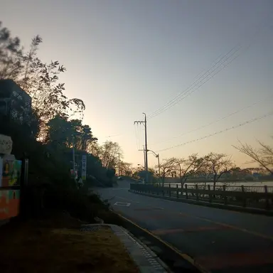 Profile image of 에드워드 엘릭