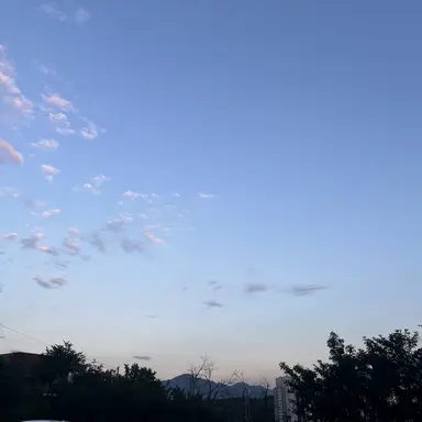 Profile image of 평학