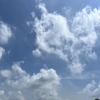 Profile image of 아이돌 여러분