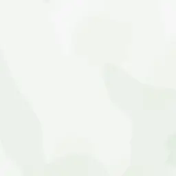 wishswish의 오시온