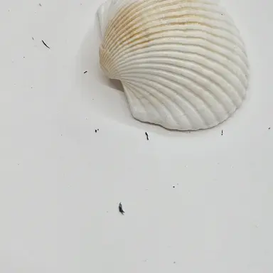 Profile image of 바다여해ㅔㅔㅔ엥