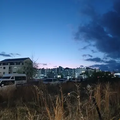 Profile image of 메이