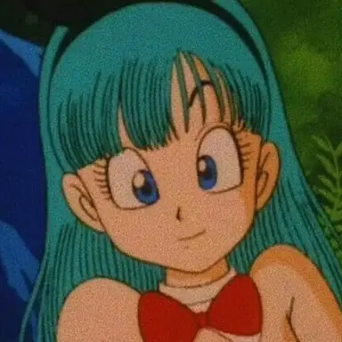 Profile image of ブルマ