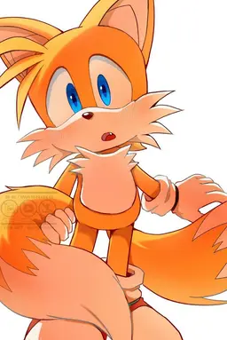 Profile image of Tails the fox