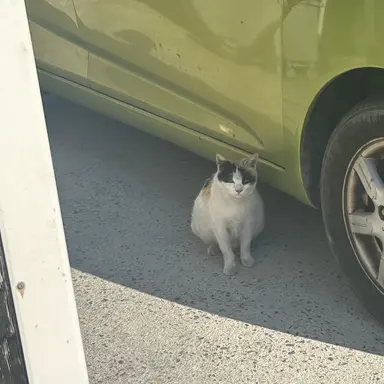 Profile image of 하진