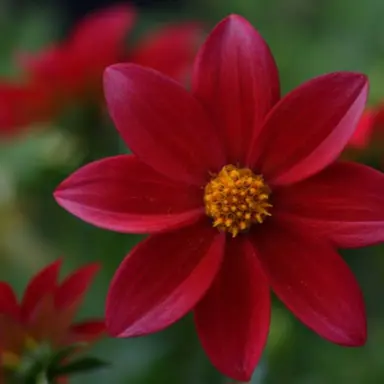 Profile image of 꽥꽥탐험대