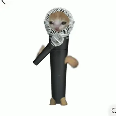 Profile image of MC 킴