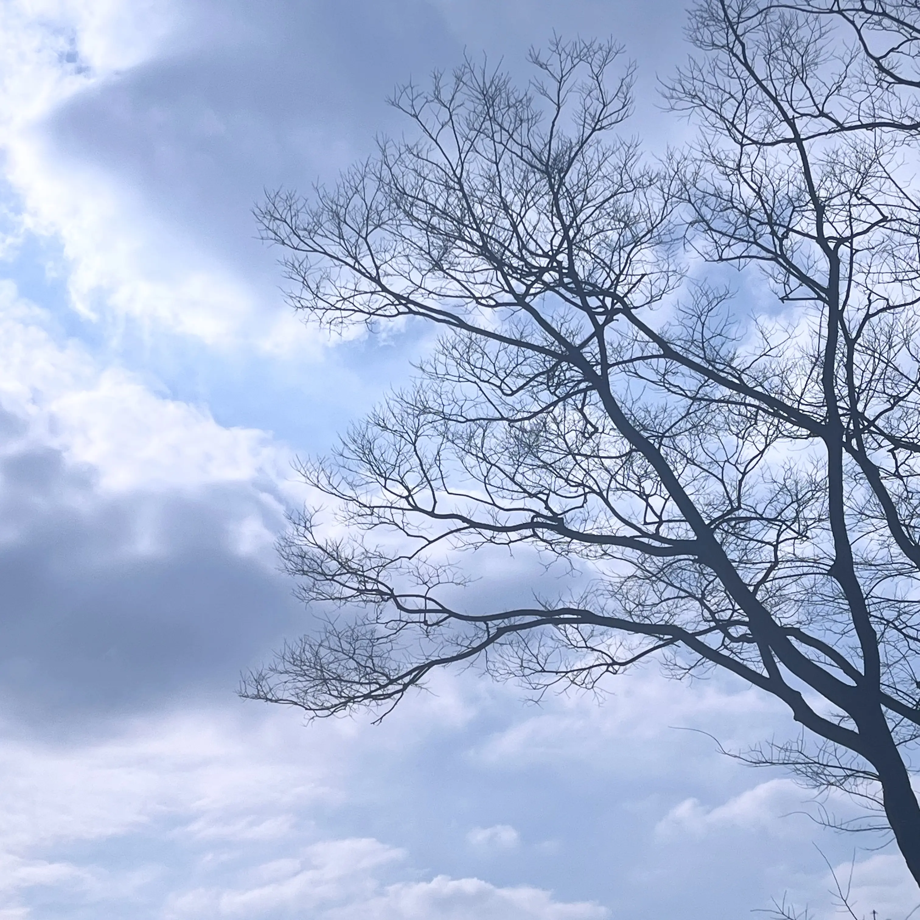 IvoryPages9191의 뜰팀과 무서운 이야기