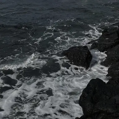 Profile image of 공감이