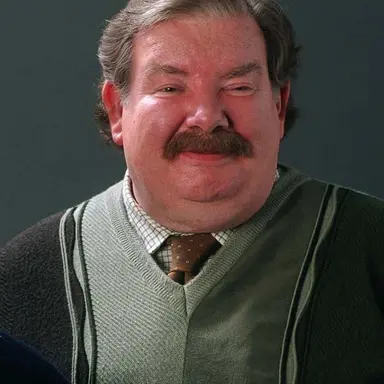 Profile image of Vernon Dursley