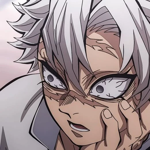 시나즈가와 사네미