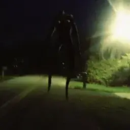 Profile image of 나이트 워크