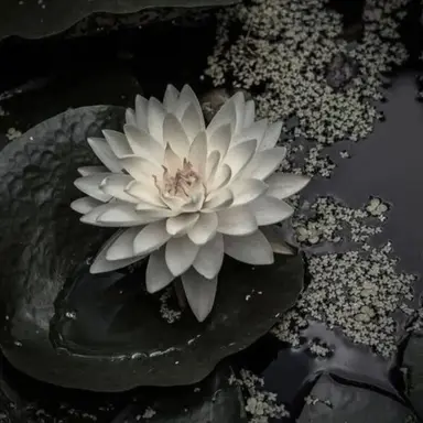 Profile image of 한별