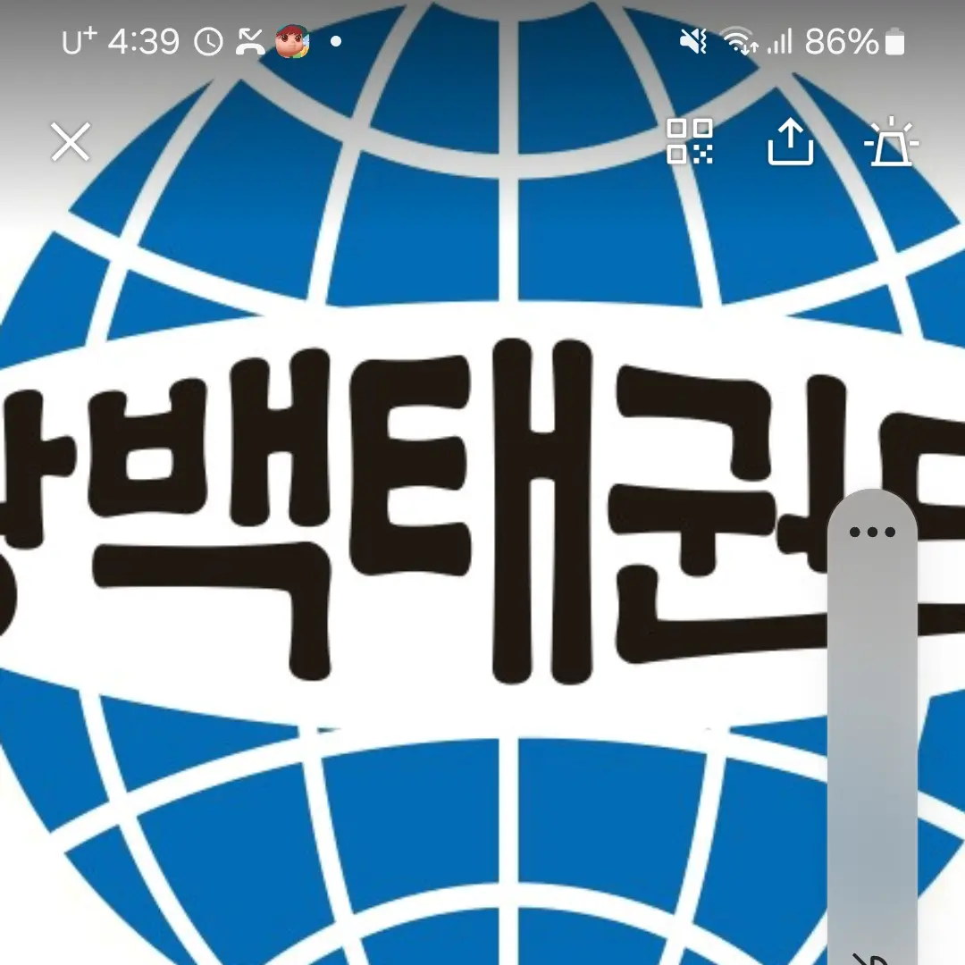 AngstyTooth5704의 광백태권도