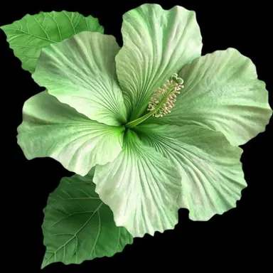 Profile image of 정공룡