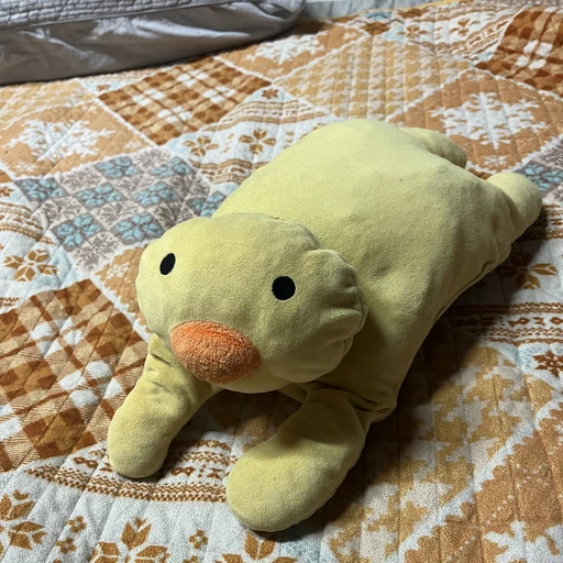 뿅아니