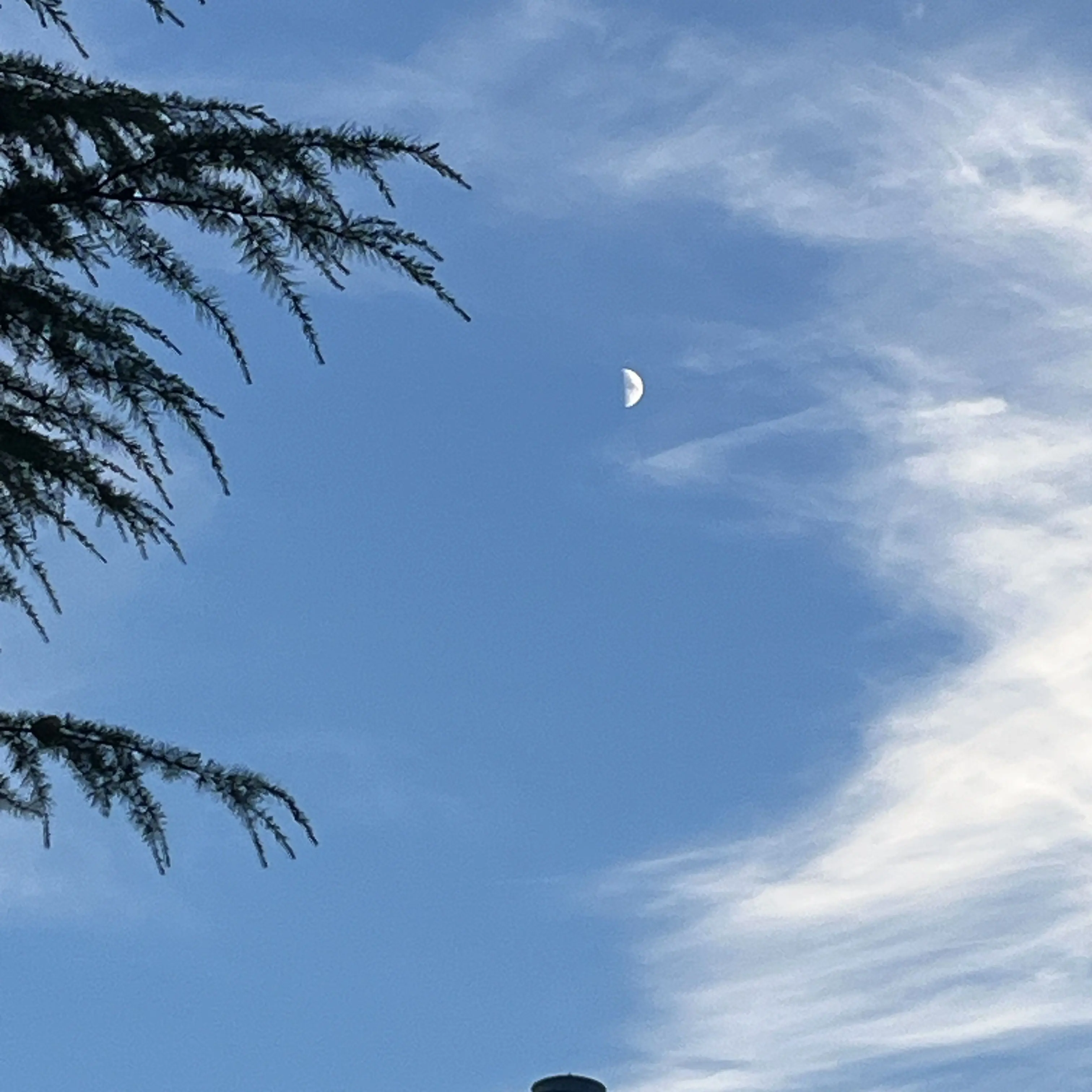 Monnie의 <마음데로>