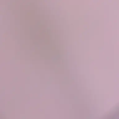 Profile image of 엘렌