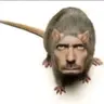 Profile image of 여우