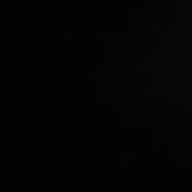 Profile image of 自由