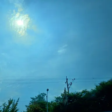 Profile image of 준브레드