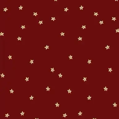 Profile image of アンシン