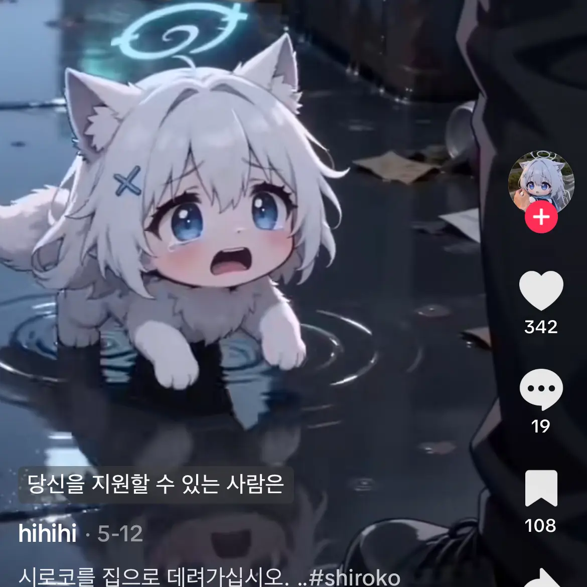 RobustBeach2381의 시로코