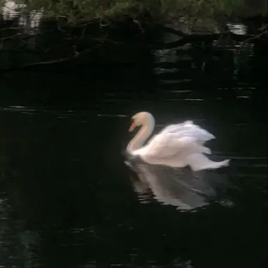 Profile image of ㅎ ㄷ ㅁ