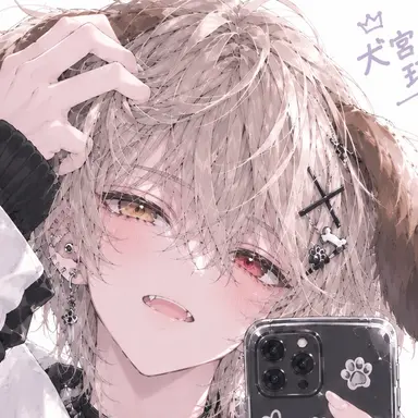 Profile image of 琉衣
