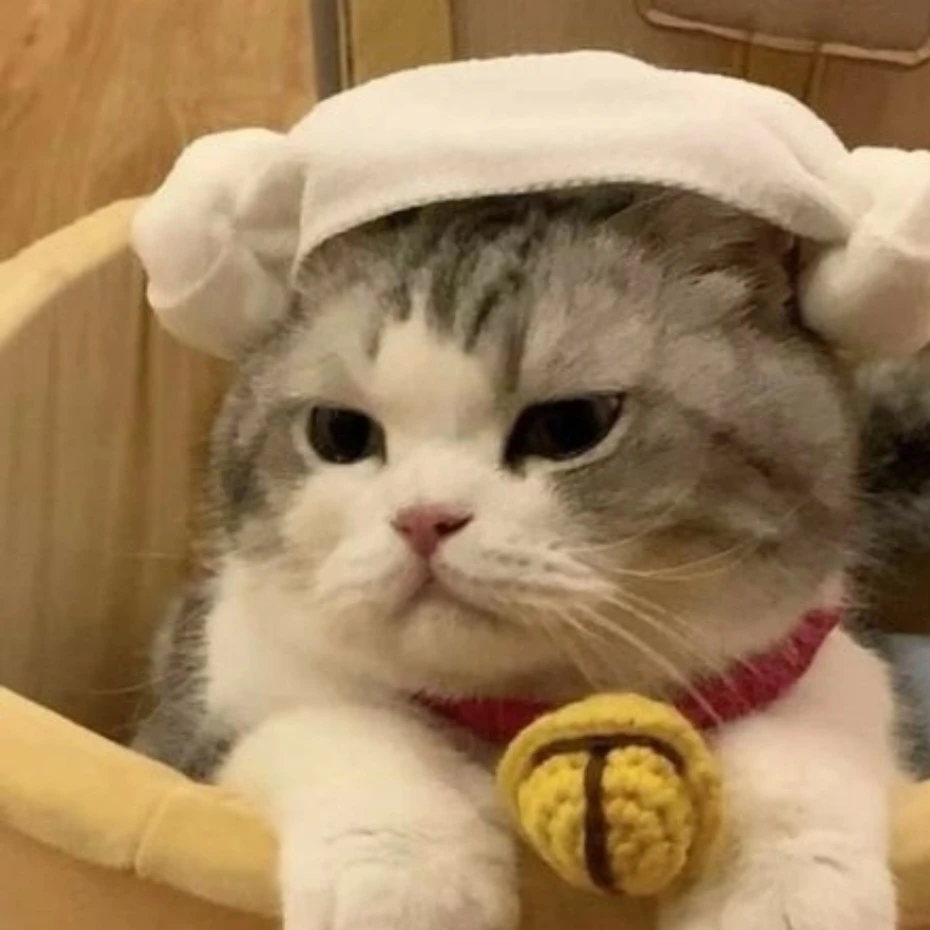 김지윤